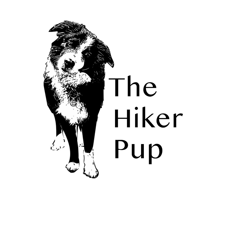 The Hiker Pup