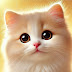 logo Meow Madness