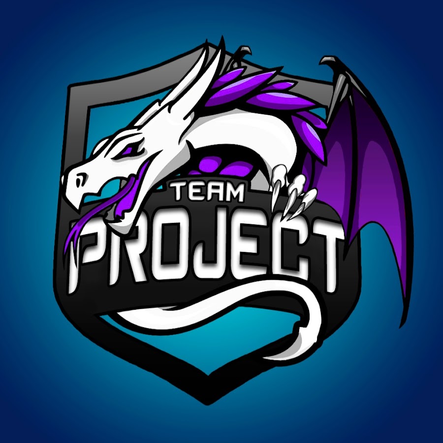 Team project