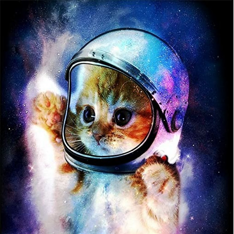 Котик космонавт арт в космосе