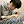 yourcdrama avatar