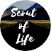 Scout of Life