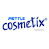 logo Metlix