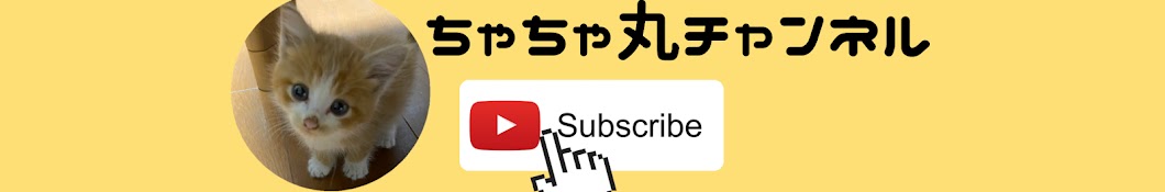 ちゃちゃ丸チャンネル