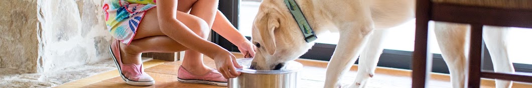 Slopper Stopper Dripless Water Bowl