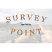 Survey-Point