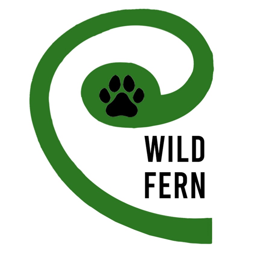 WILDFERN - YouTube