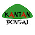 Kantan Bonsai