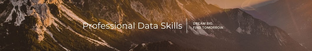 Professional Data Skills