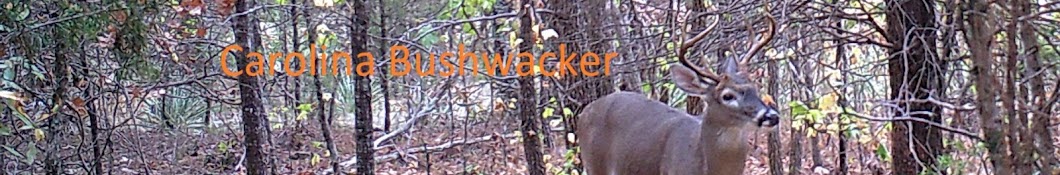 Carolina Bushwacker Taxidermy and Outdoors