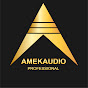 AMEK AUDIO