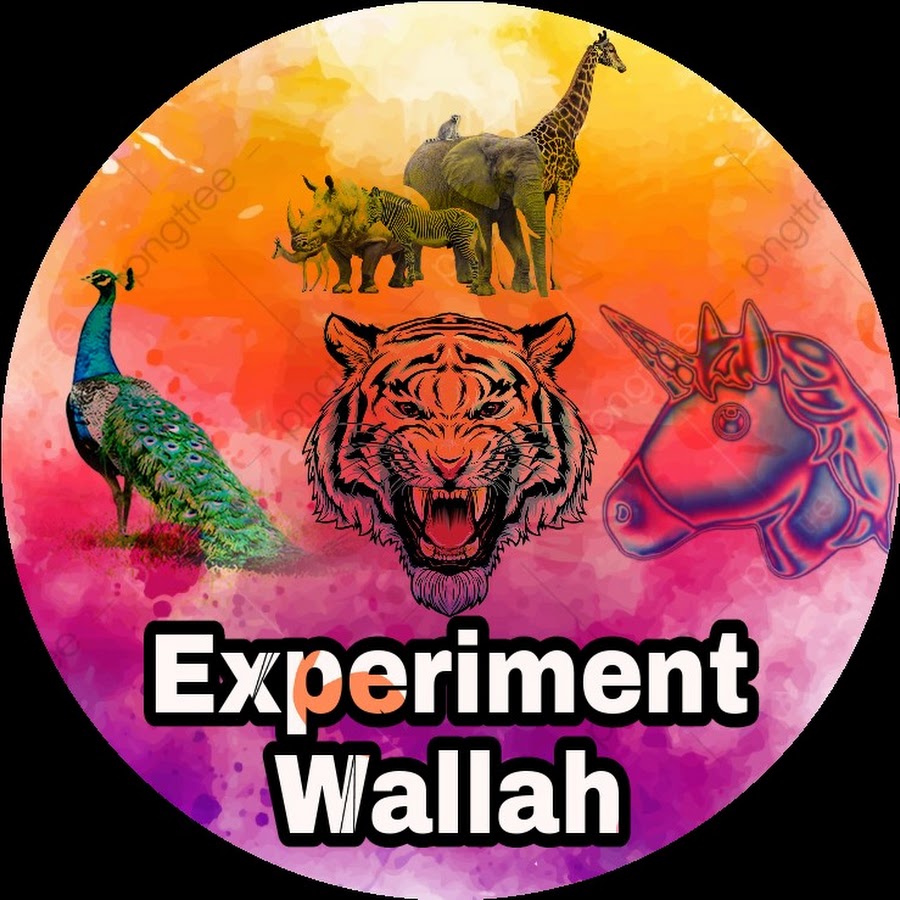 EXPERIMENT WALLAH [ Talib Experiments ] 