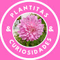 Plantas y Curiosidades