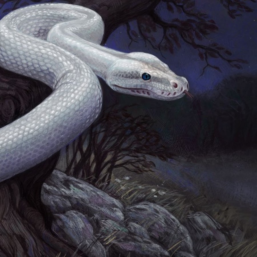 Слушать про змей. Белая змея 2001. Фамильяр белая змея. Белый змей. Белая змея 3.