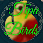 Tipu Birds