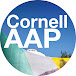 Cornell AAP