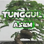 tunggul asem