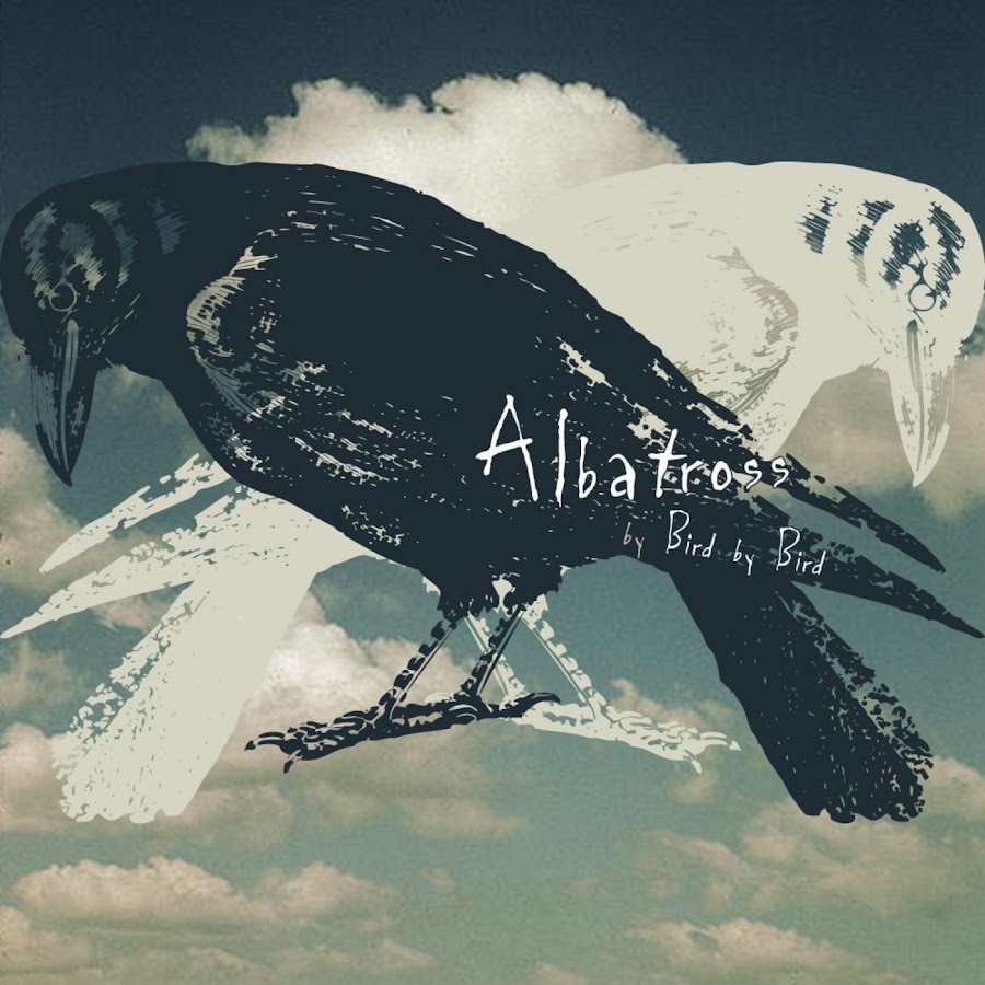 A birds last look slowed reverb. Albatross исполнитель. A Bird's last look.