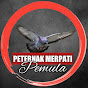 PETERNAK MERPATI PEMULA