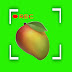 logo Mangos77