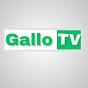 Gallo tv 