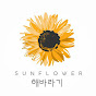 Sunflower해바라기