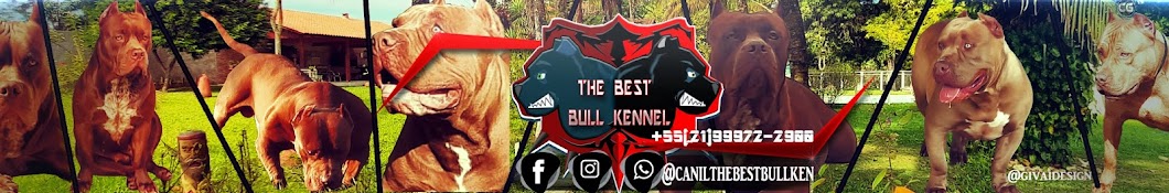 The Best Bull Kennel