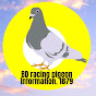 BD racing pigeon information. 1879