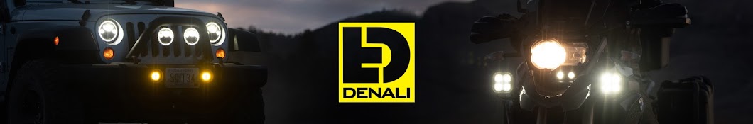 DENALI Electronics