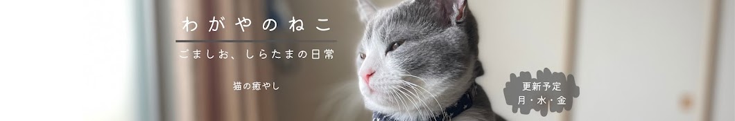 わがやのねこ