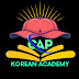 cap korean Academy 