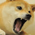 Angry Doge Channel