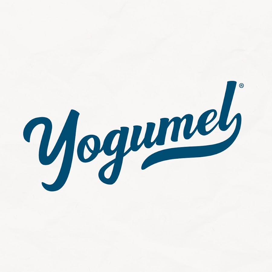 Fermentos Para Hacer Yogur En Casa — Yogumel 💚