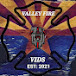 ValleyFireVids