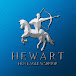 HEWart TV