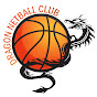 Dragon Netball Club 