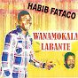 Habib Fataco - Topic