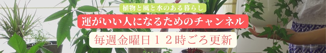 植物と風と水のある暮らし