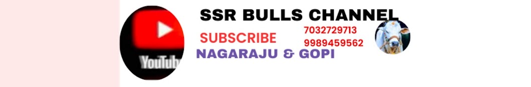 SSR BULLS CHANNEL