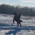 Жизнь в небольшом селе Казахстана. 