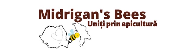 Midrigan's Bees