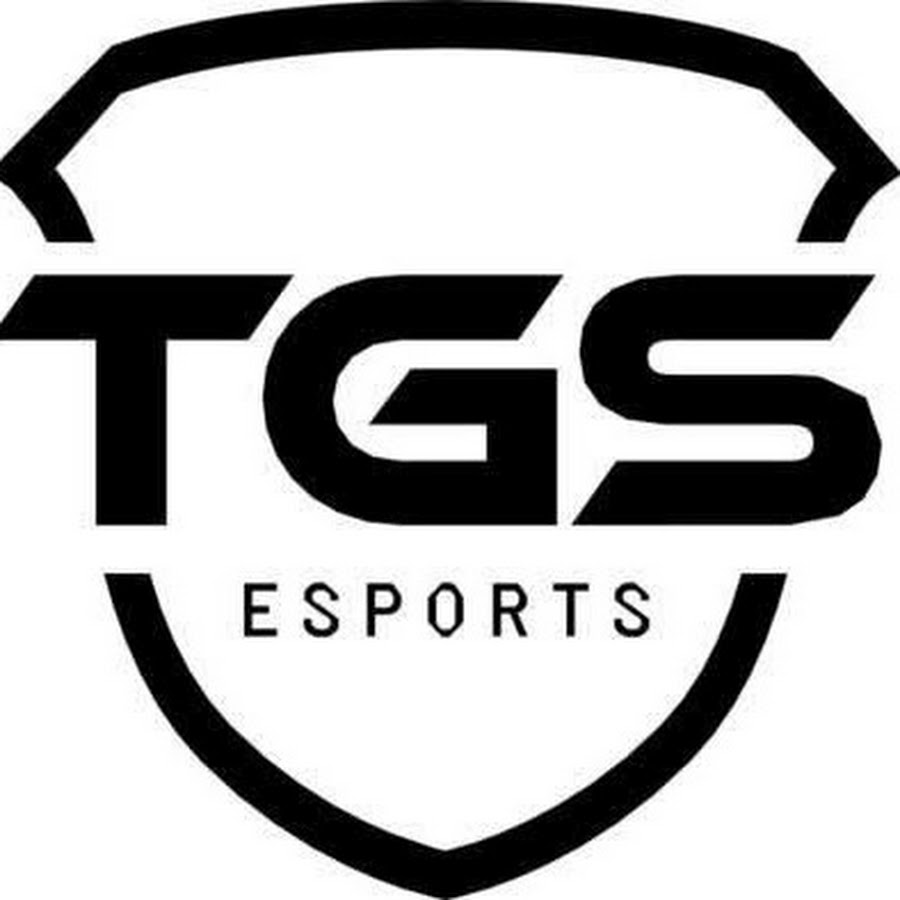 Tgs файл