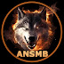 logo ANSMB