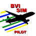 logo BviSimPilot