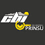 CBI & Prinsu Installs