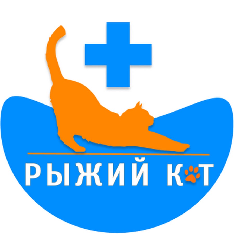 Ветеринарная клиника ижевск телефон. Рыжий кот ветеринарная клиника. Рыжий кот Ижевск ветеринарная клиника. Ветеринарная клиника на Барышникова Ижевск. Рыжий кот в ветеринарке.