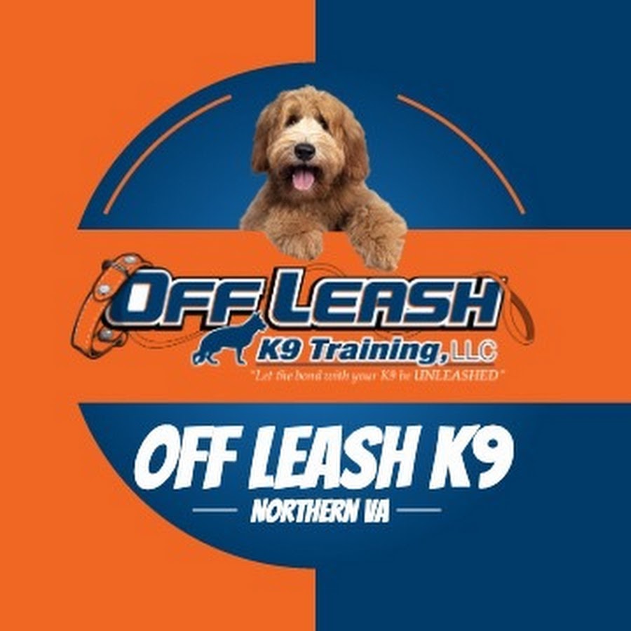 OffLeashK9Training