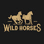 wildhorses_mn