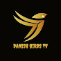 Danish birds tv 