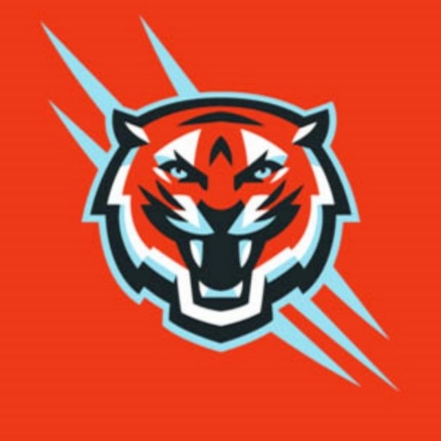 Tiger Review - YouTube Tiger Review